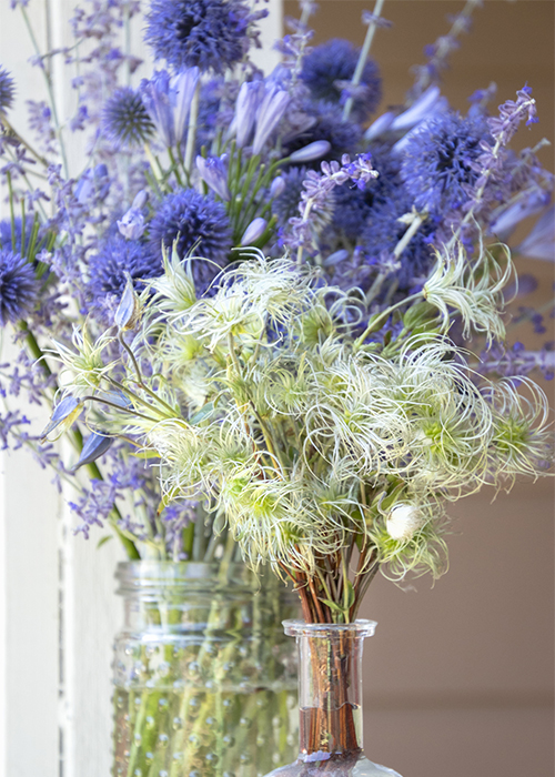 clematis seed heads, echinops, and nepeta in a floral arrangment in vases