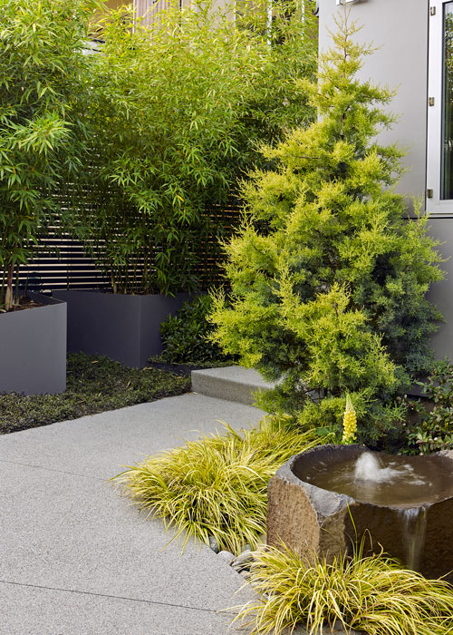 entrance to house with fountain, grass, bamboos and tree