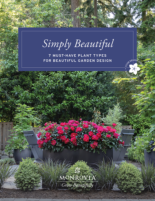 simply beautiful design guide cover