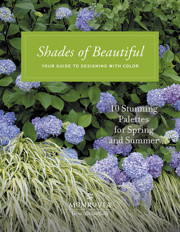 front cover of 2021 shades of beautiful guide