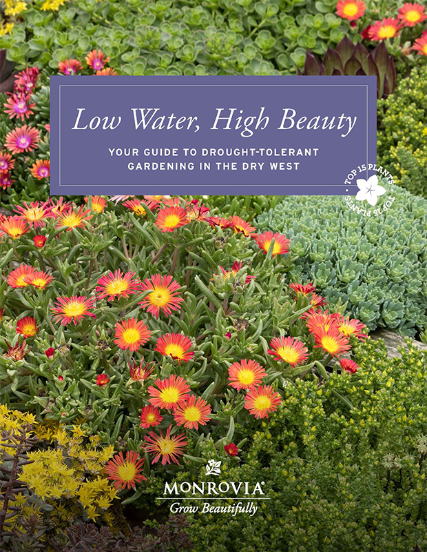 Low Water High Beauty digital guide cover