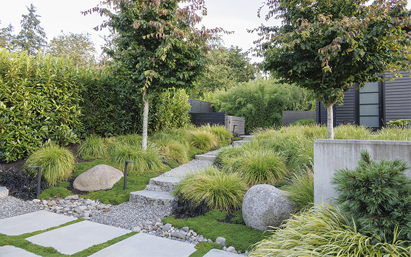 outdoor living space with pathway that leads to spa flanked by two trees and grass garden