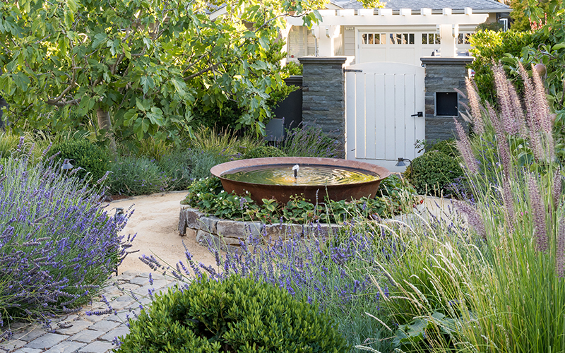 strawberries around a fountain in an entryway path with grasses and lavender