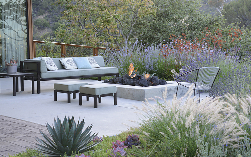 seating around a fire pit with landscaping that includes agaves, grasses and wildflowers
