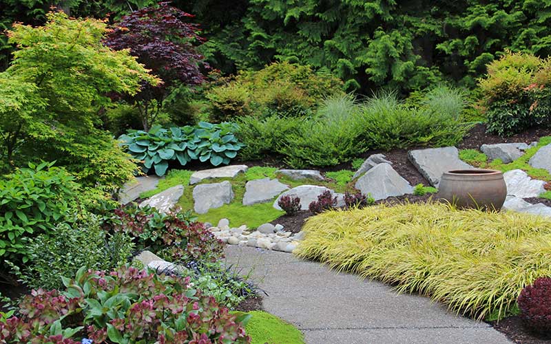pathway with rocks and green landscaping