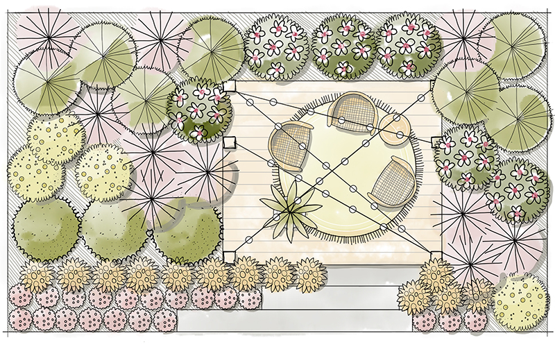 illustrated outdoor living space landscape plan