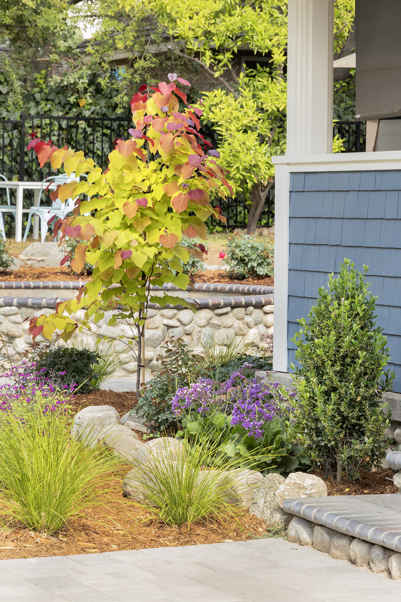 small tree and siding