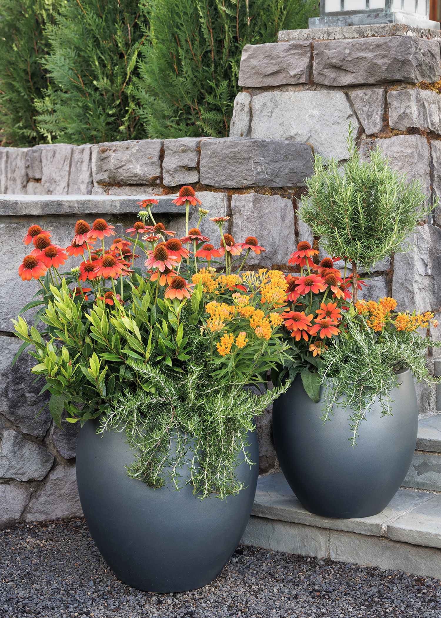 Culinary_Garden_container_1393MNC_copy