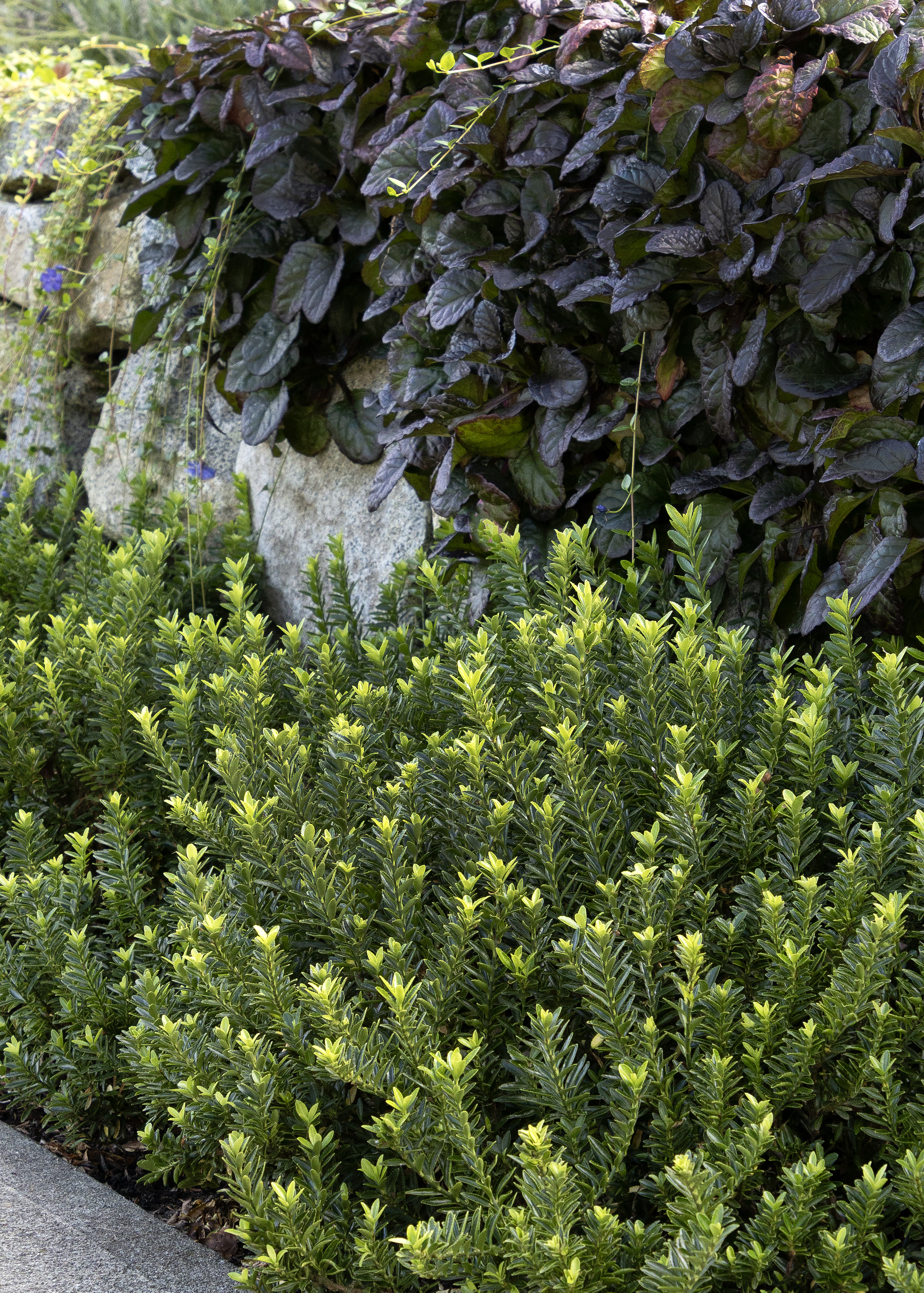 stone elemens in a goth garden