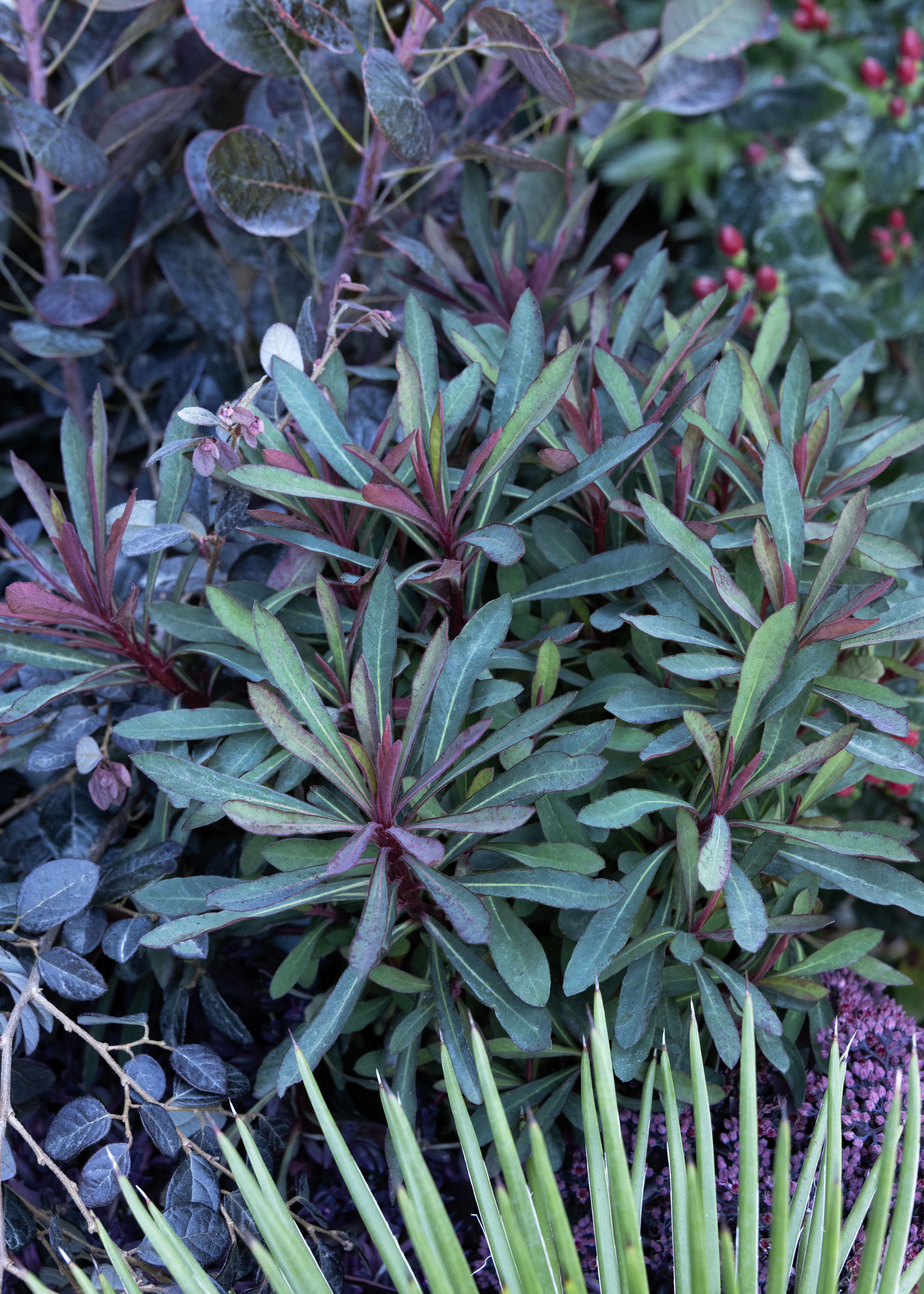 mood is the most important element in a goth garden
