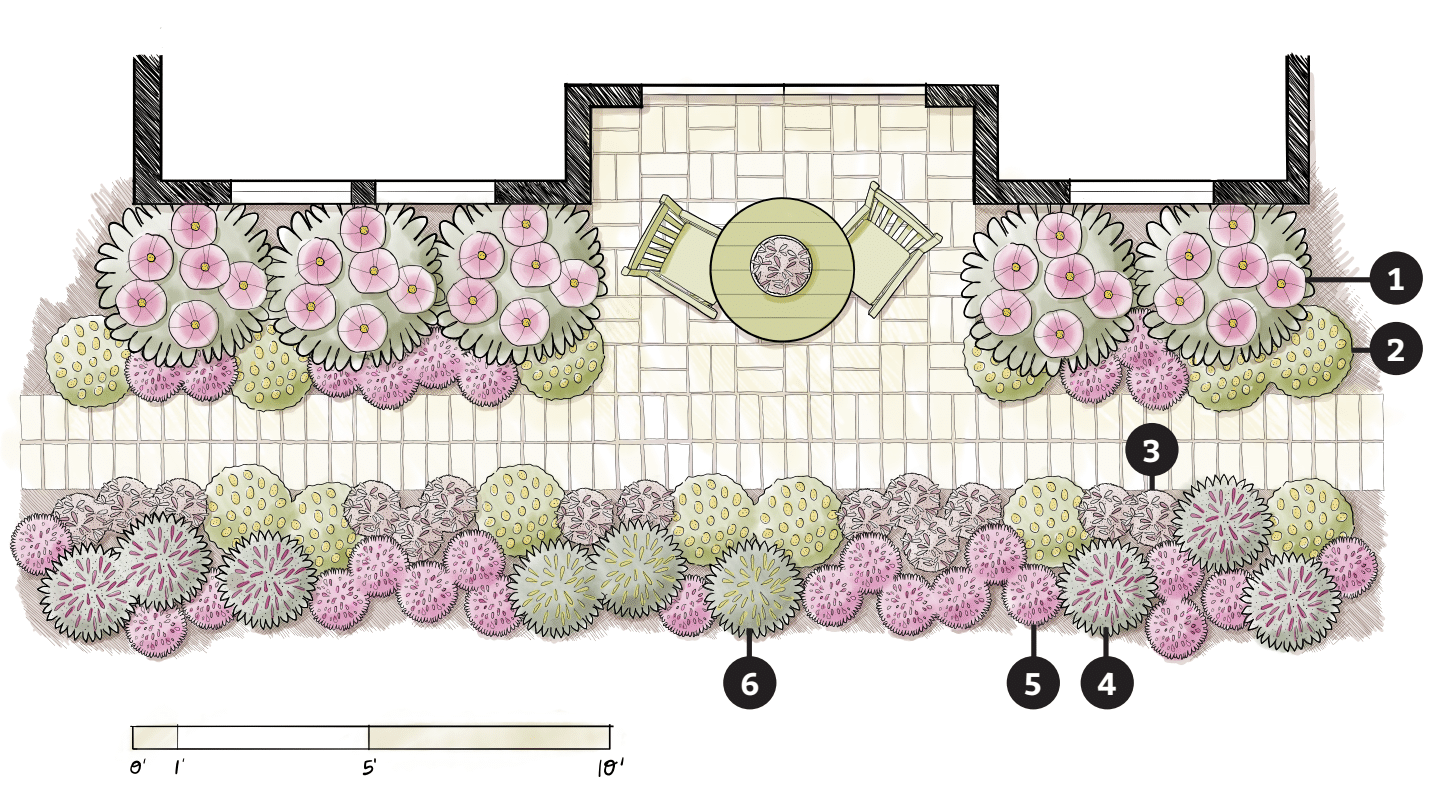 hummingbird garden landscape design with 6 plants