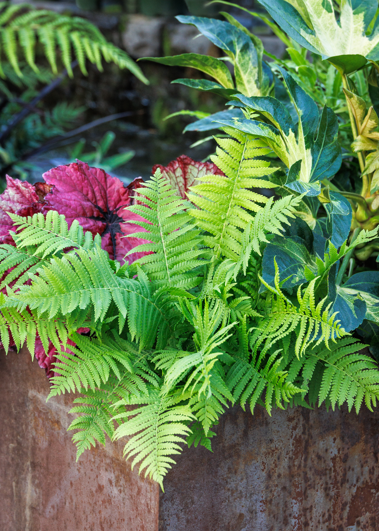 Shade_fall_container_1467MNC_copy