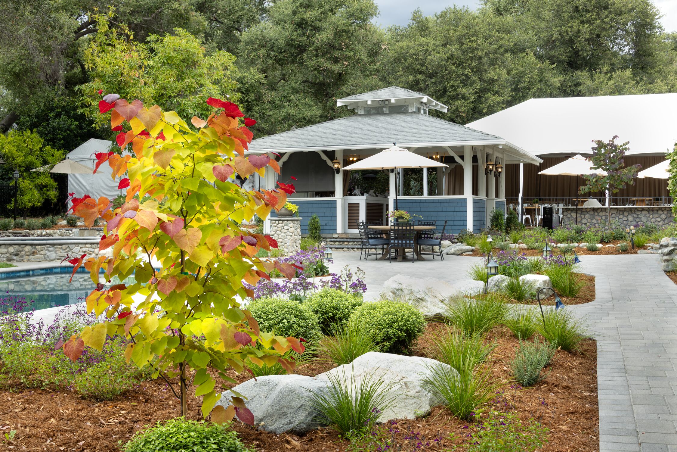 Showcase_Garden_landscape_8097_MNC