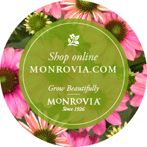 Monrovia_ShopOnline300x300