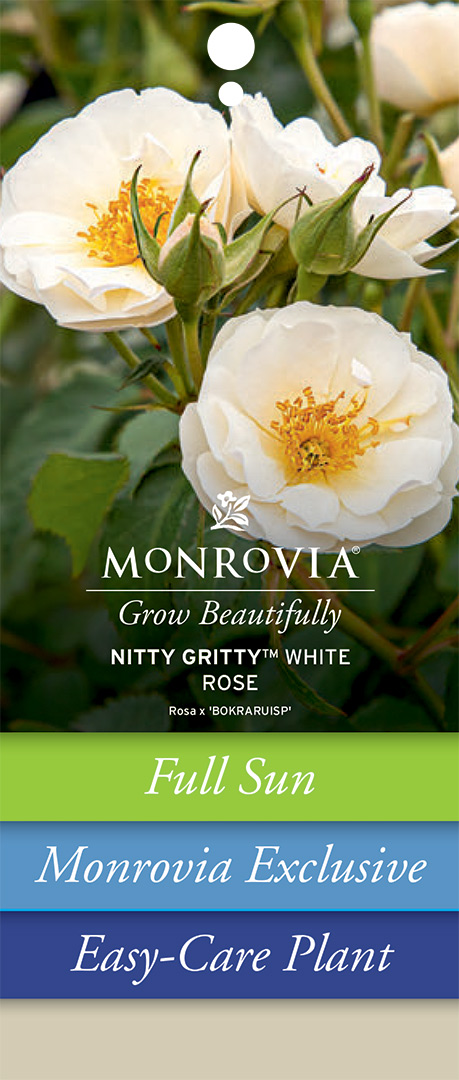 Monrovia Label Front