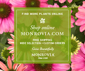 Monrovia_ShopOnline_300x250