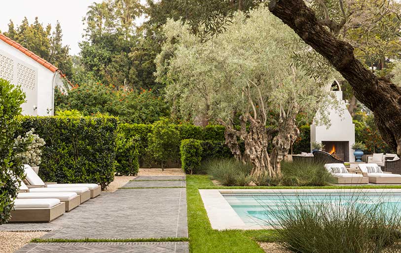 A citrus tree creates a focal point leading you down a coal-infused terracotta stone pathway to an organic citrus grove obscured by thick hedges.