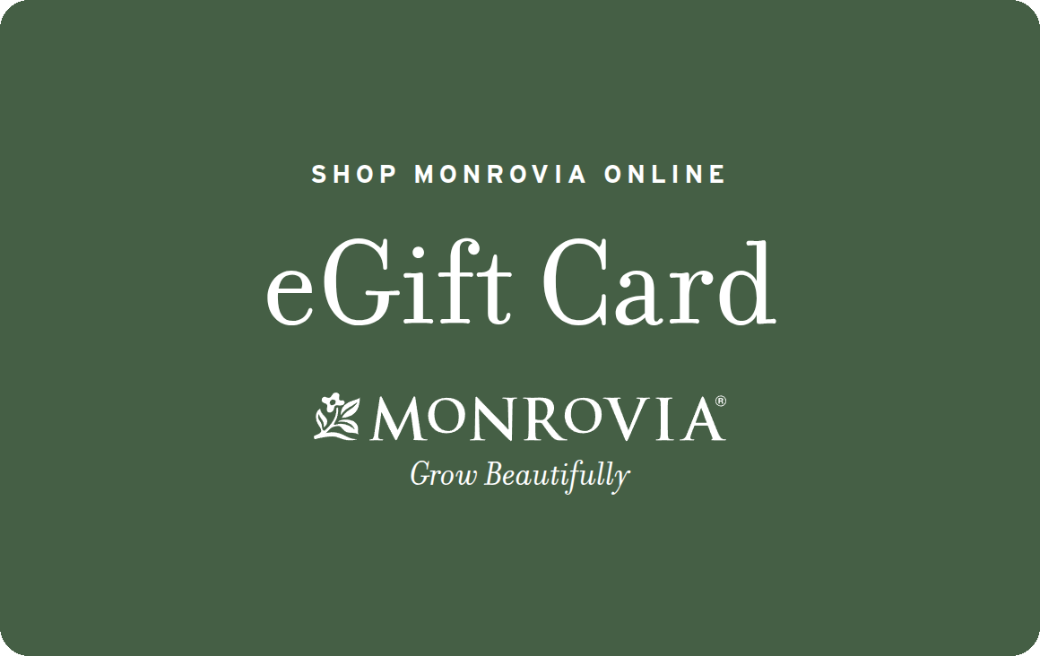 Monrovia eGift Card