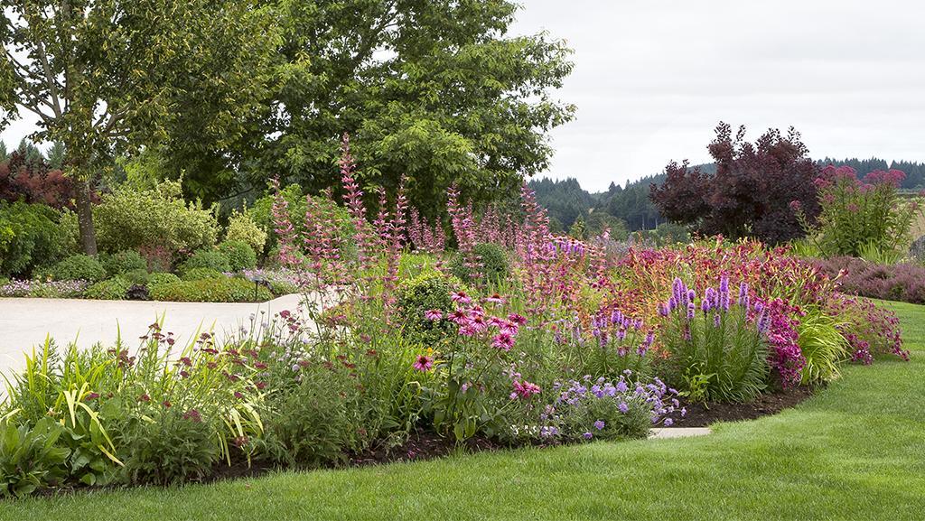 Modern Meadow: A fresh take on pollinator garden design