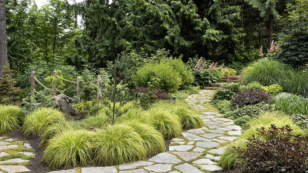 Design School: How a Pro Creates a Lush Woodland Garden 