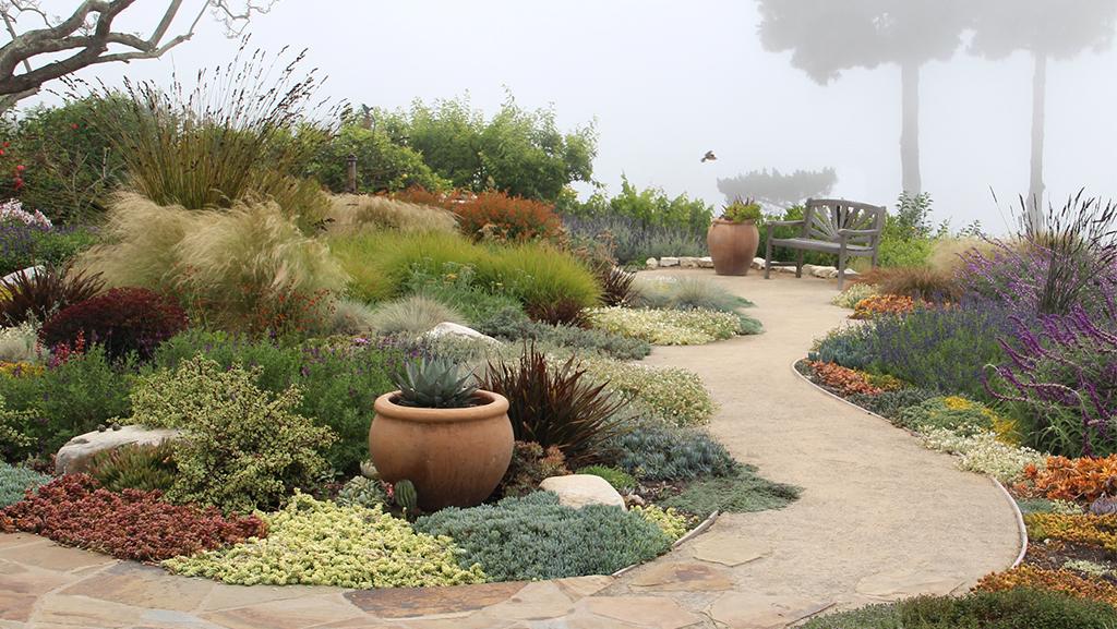 Lawn to Waterwise Landscape Transformation: Xeriscape design that's lush and vibrant