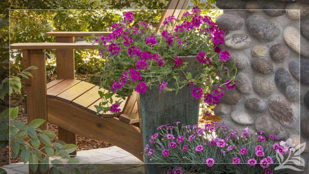 Achieve 3 Bold and Bright One-Pot Wonder Designs Using these Plants