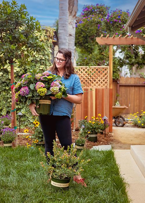 A Garden for a Growing Family: An abundance of fun, fruit, and family time all fits here