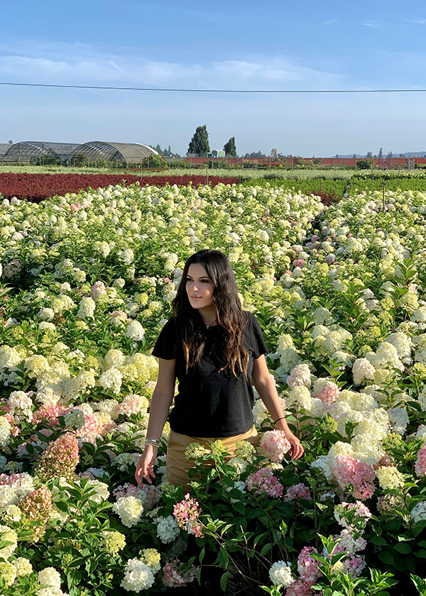 Emily's Picks: Selections for Your Garden From a California Insider