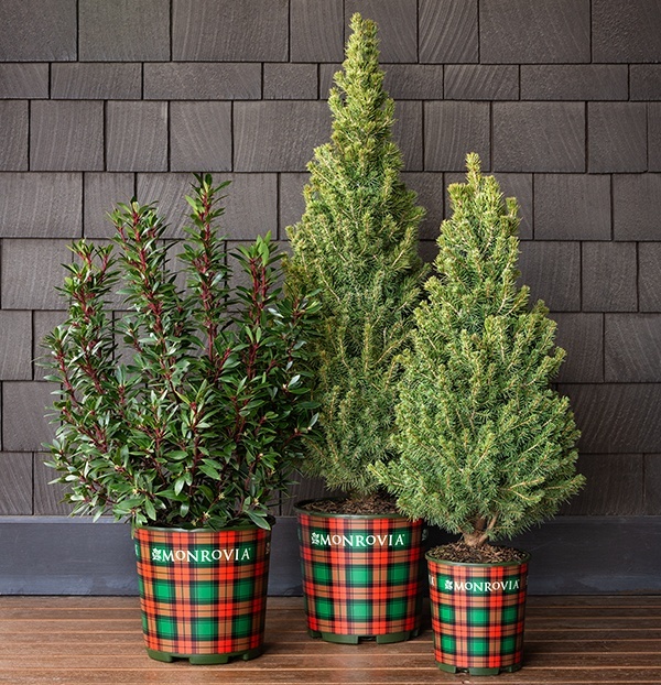 The 2026 Holiday Gift Guide