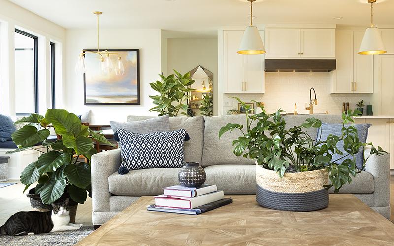 A Comfy Couch With Pillows Surrounded By Houseplants Stock Photo