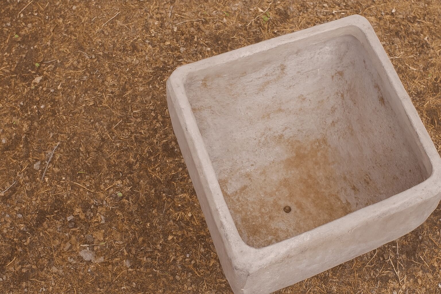 Growing Blueberries In A Pot with Monrovia Gardens