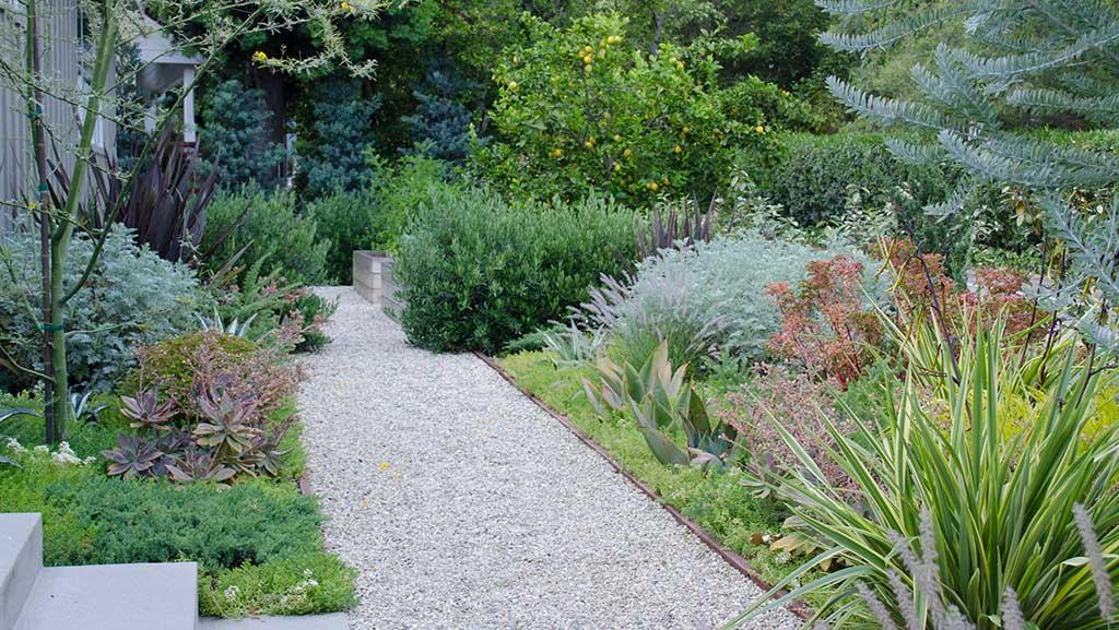 Designer Ideas for Inspired Pathway Plantings