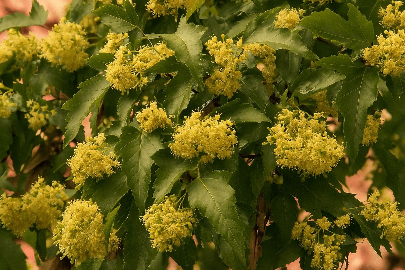 Now's the Time: February, How to Make the Most of Planting this Month