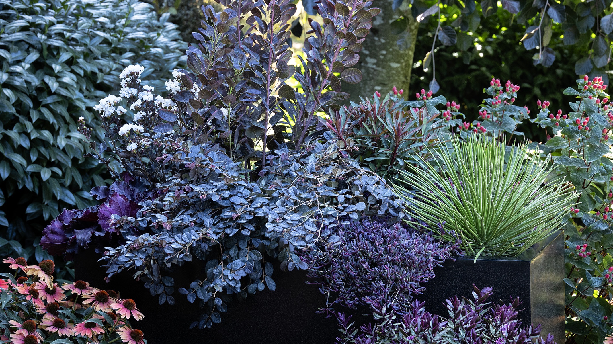 Goth Gardens: 5 Elements of Style