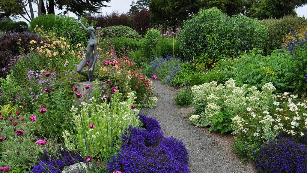 Perennial garden filled with shrubs and trees including dwarf conifers, magnolias, and Cryptomeria japonica.