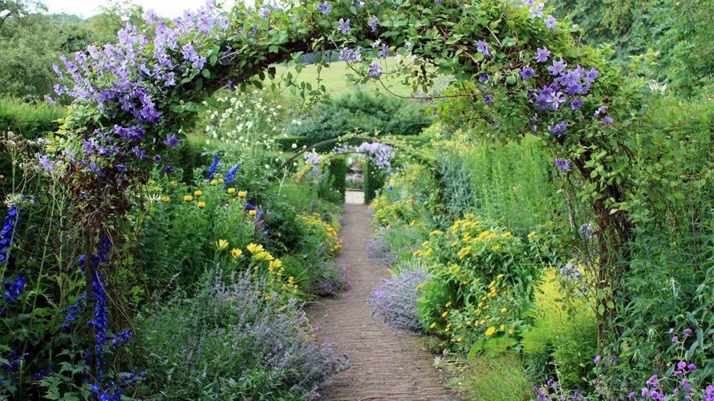 Purple, yellow, and green garden with arches and filled with perennials such as catmint, yarrow, geranium, and delphiniums.
