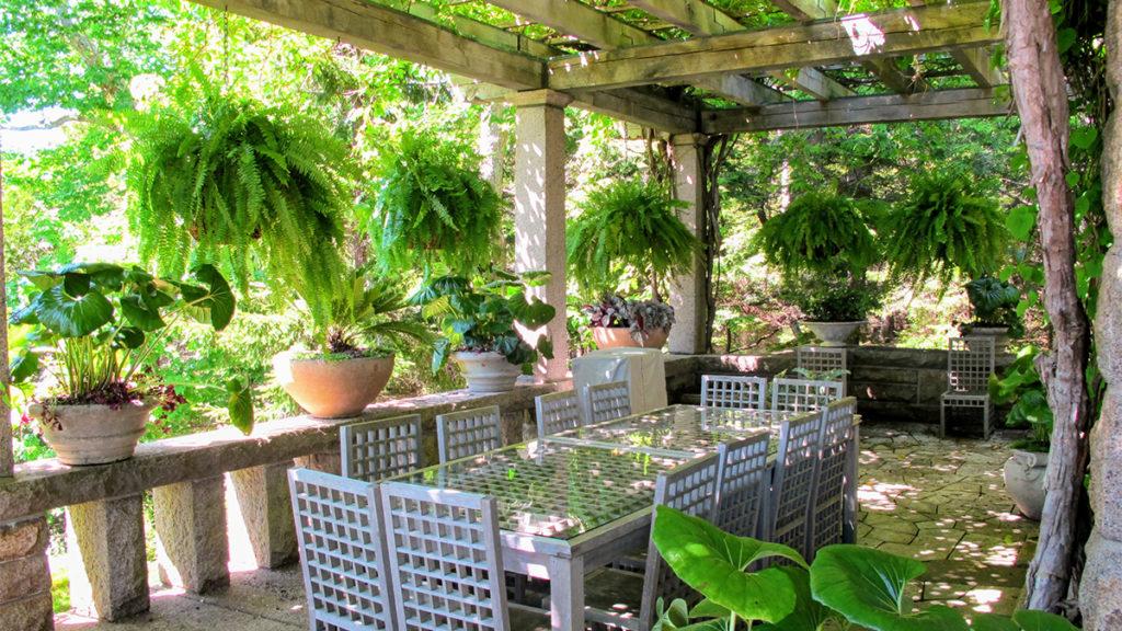 Dress Up the Porch and Patio with these Ferns