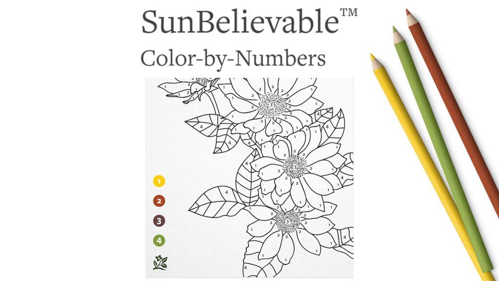 Color Me Happy: SunBelievable™ Paint-by-Number Project