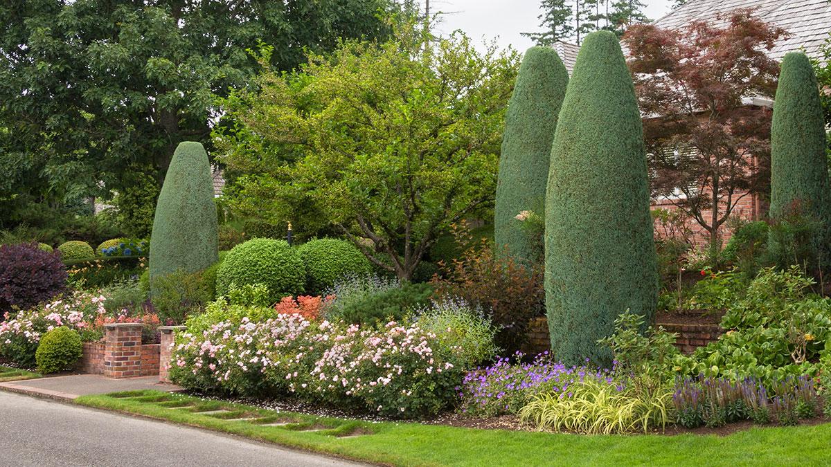 Spring inspired garden with tall trees, green shrubs, and white and purple flowers lining a curb.