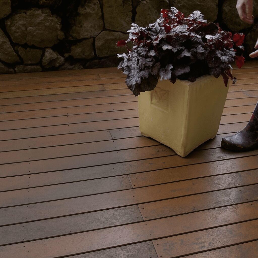 Know When to Water Your Container with Monrovia Gardens