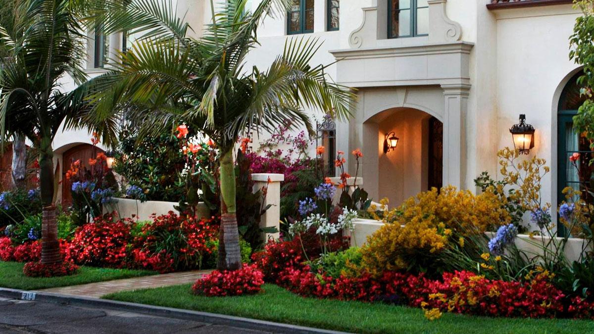 Front of white home lined with tropical plants including palm trees, white flowering agapanthus and Bird of Paradise.