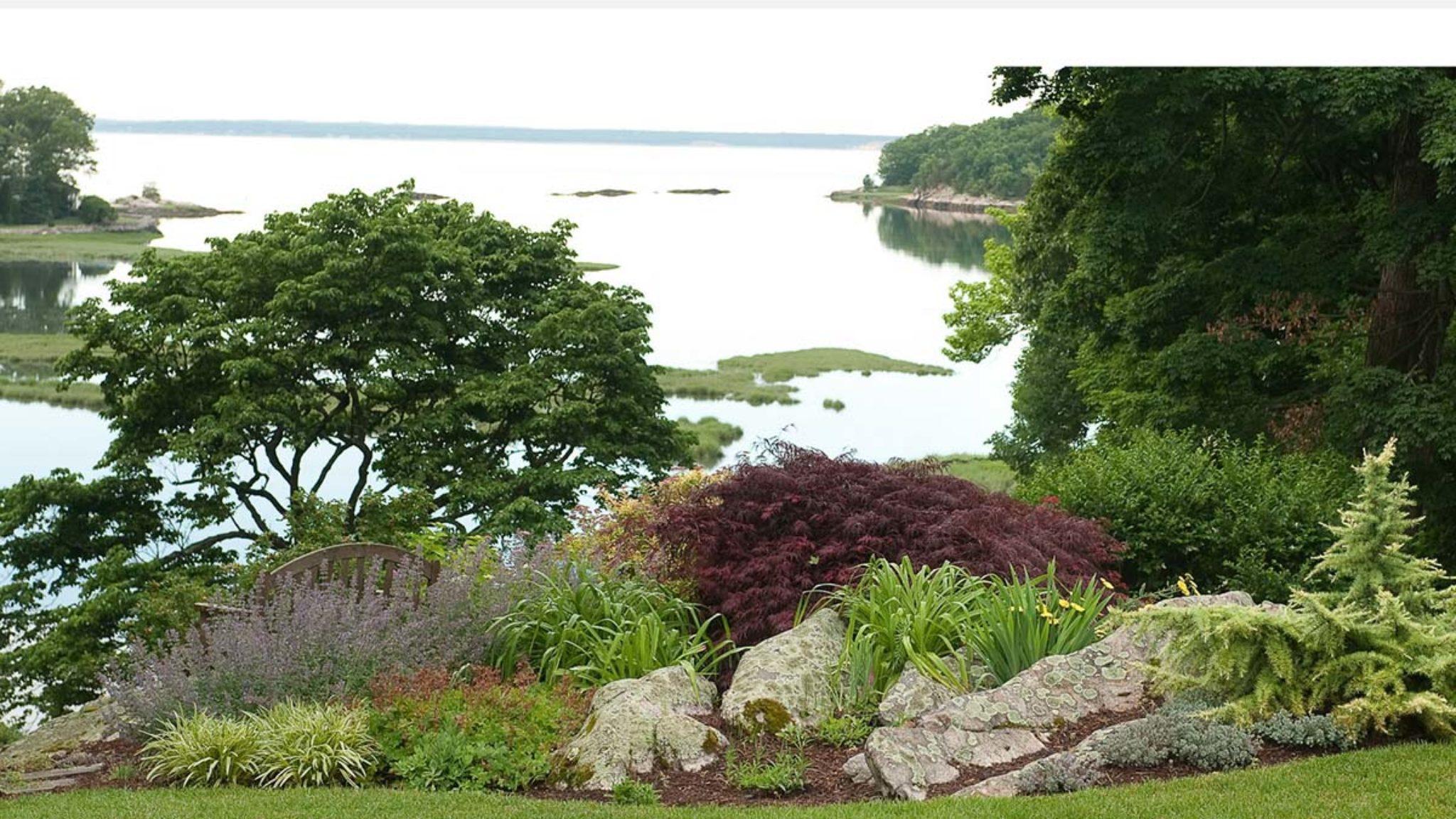 Landscape of various plants by the shore including Regal Mist Pink Muhly Grass, Cabaret Japanese Silver Grass, and conifers.
