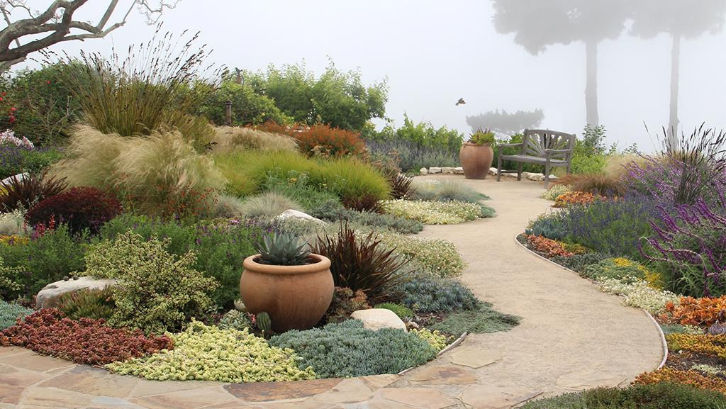 xeriscape with many colorful plants, curving pathway, and terracotta container