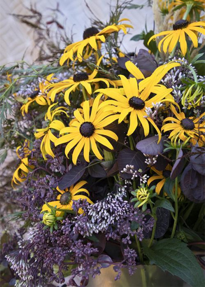 perennial flowers of black eyed susan and sedum in a cut flower arrangement