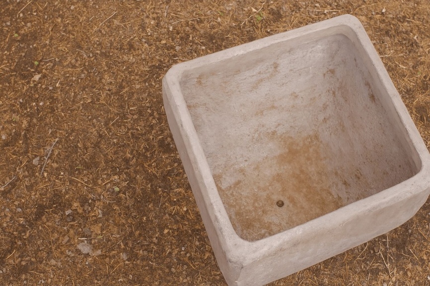 Stone pot on dirt ground with text that reads, "How to Grow Blueberries in a Pot."