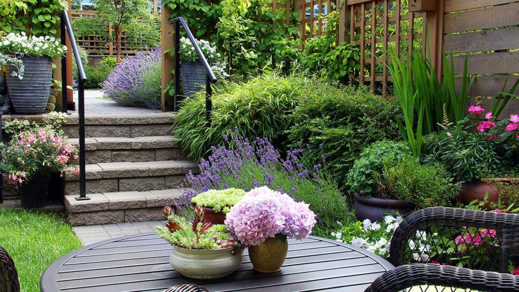 Two level patio filled with potted plants like shrubs, perennials, lavender and rosemary.