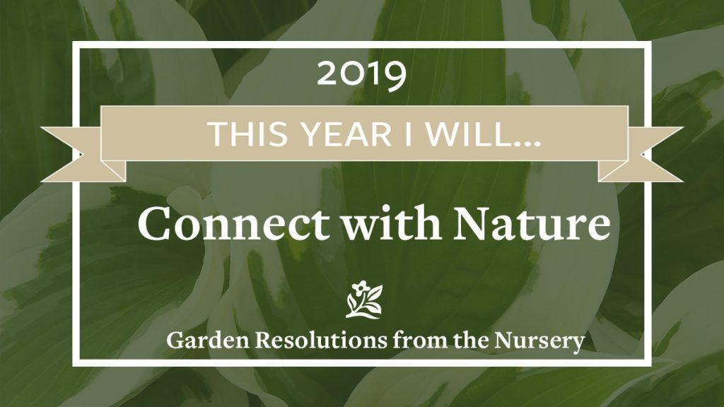 Green background with text that reads, "2019 This Year I will Connect with Nature, Garden Resolutions from the Nursery."