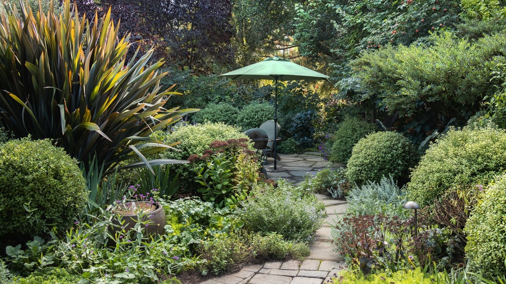 Heat-Loving Plants for Beautiful Summer Gardens