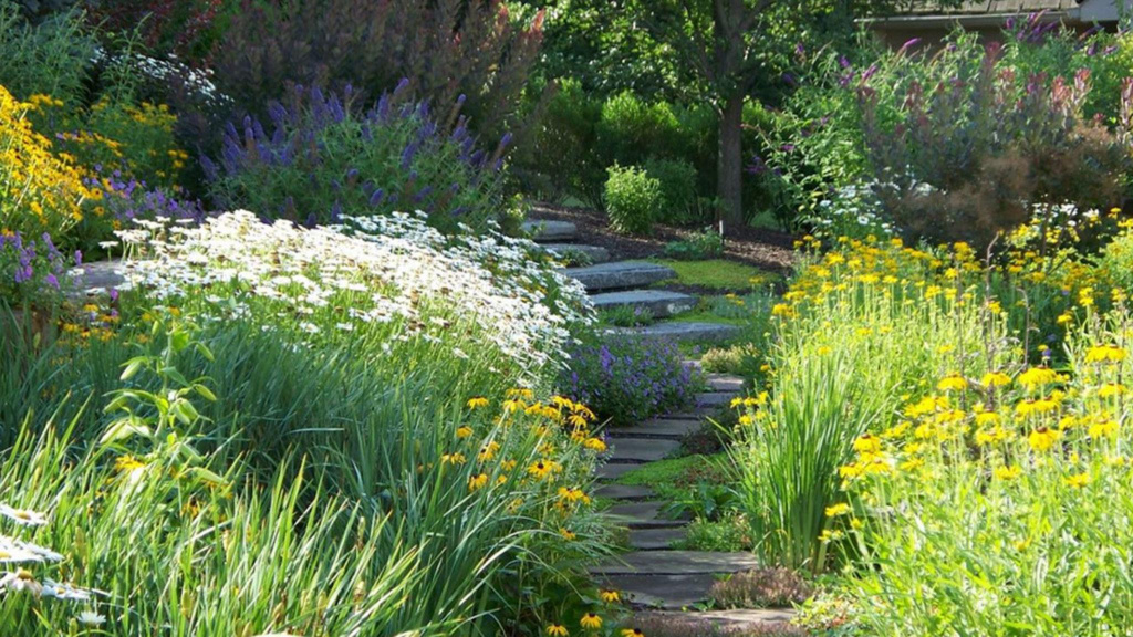 Curved stone pathway surrounded by different plants including purple smoke bush, black-eyed Susan, buddleia, and daylilies.