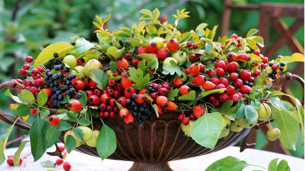 Table centerpiece of a bowl filled with crabapples, orange hips from roses, berries of hawthorn shrubs, and dogwood berries.
